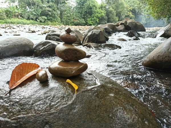 Comment concevoir une salle de bain zen avec des éléments naturels ?
